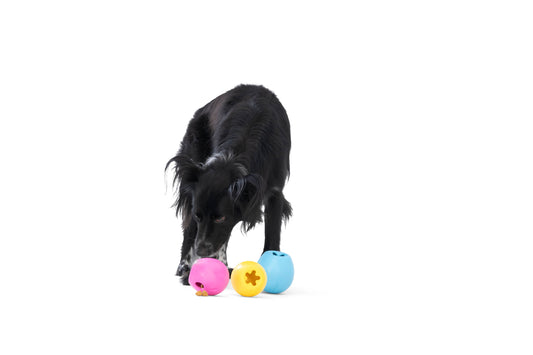 Rumbl® Puzzle Treat-Dispensing Enrichment Dog Toy - Performance Dog Supply