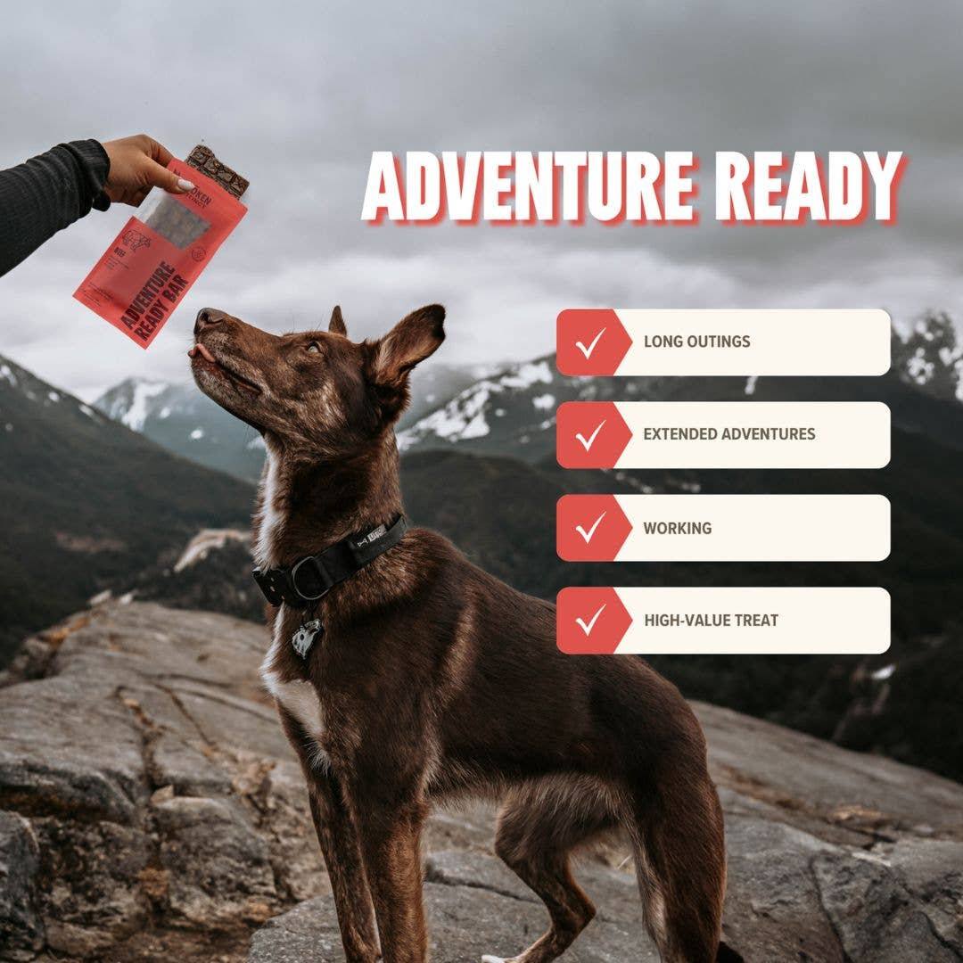 Beef Treat & Snack Bar for Active Dogs - Energy & Recovery