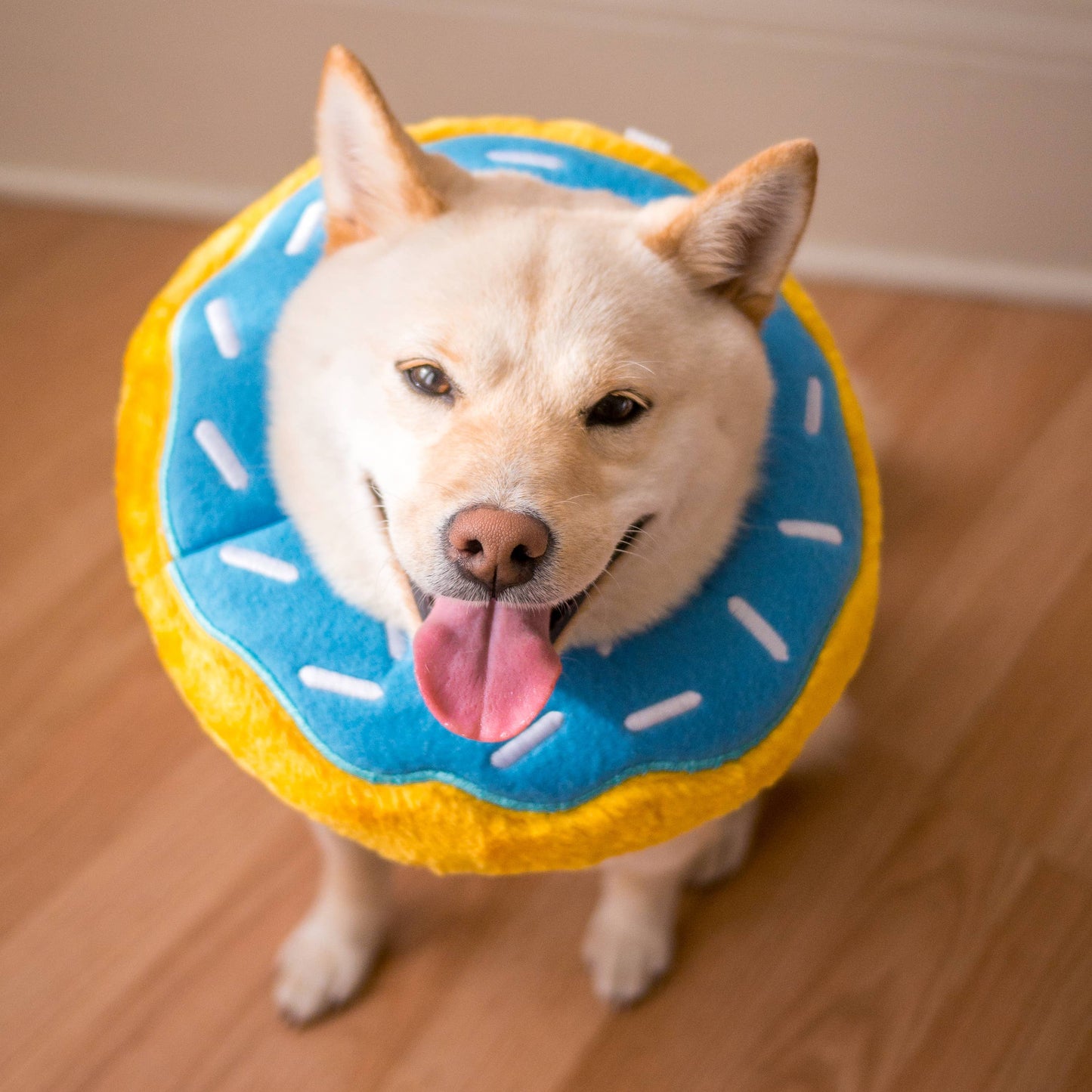 ZippyPaws Donut Blueberry - Jumbo