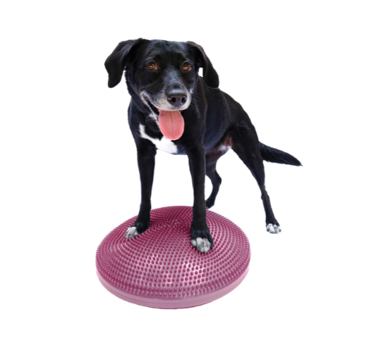 FitPAWS - FitPaws Balance Disc