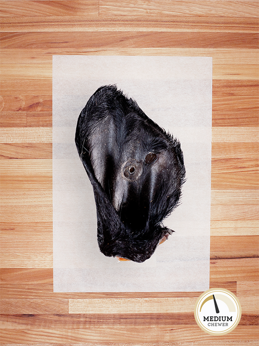 TREAT BAR - Beef Ear with Hair - 1 PIECE