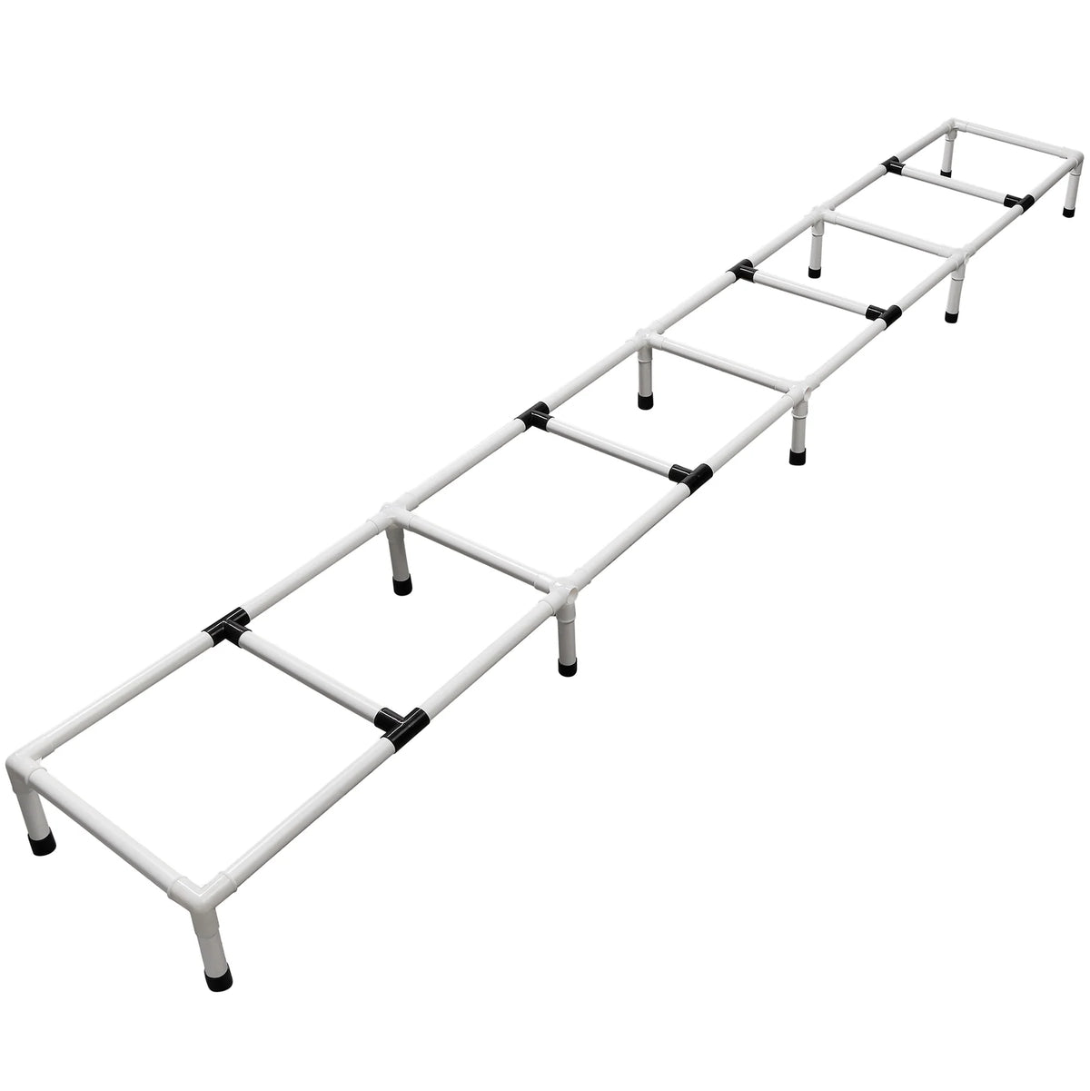 Dog Agility Training Ladder
