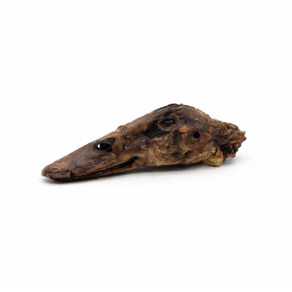 Bulk - Dehydrated Duck Heads – 30 Count
