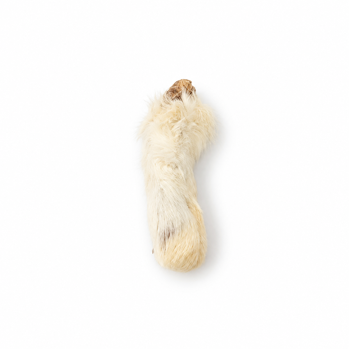 Bulk - Rabbit Feet with Fur – 30 Pack