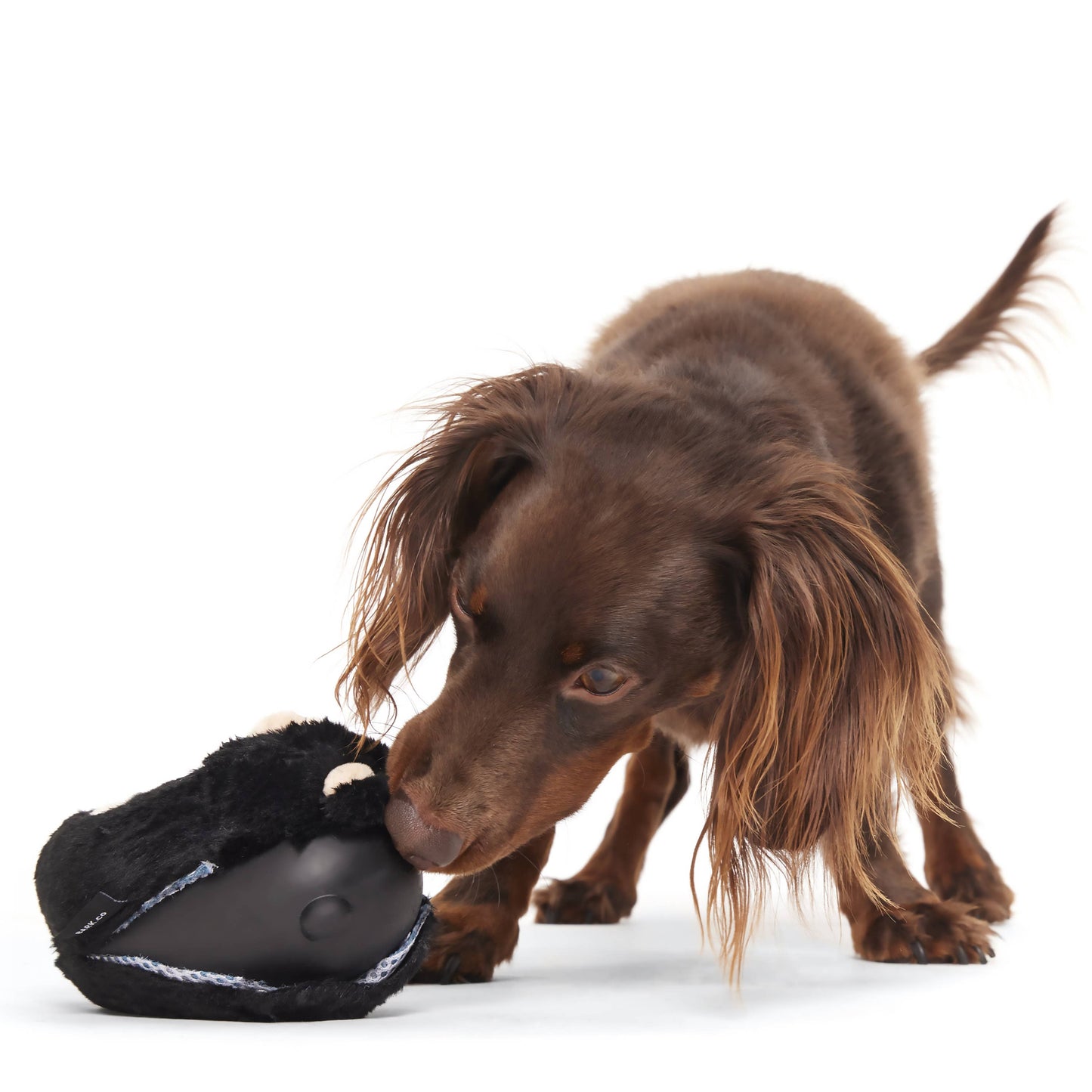 BARK Super Chewer Black Bear Dog Chew Toy M/L