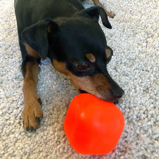 DAWG CUBE S Lifetime Guaranteed