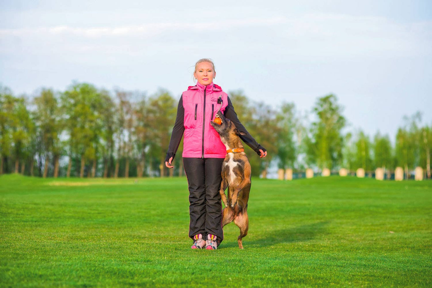 LIKER Magnet - Performance Dog Supply