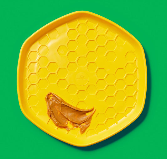 Project Hive Disc & Lick Mat Yellow - Performance Dog Supply