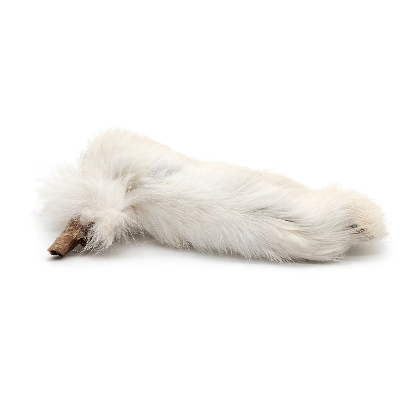 BULK - Rabbit Feet with Fur Dog Chews – 25 pack