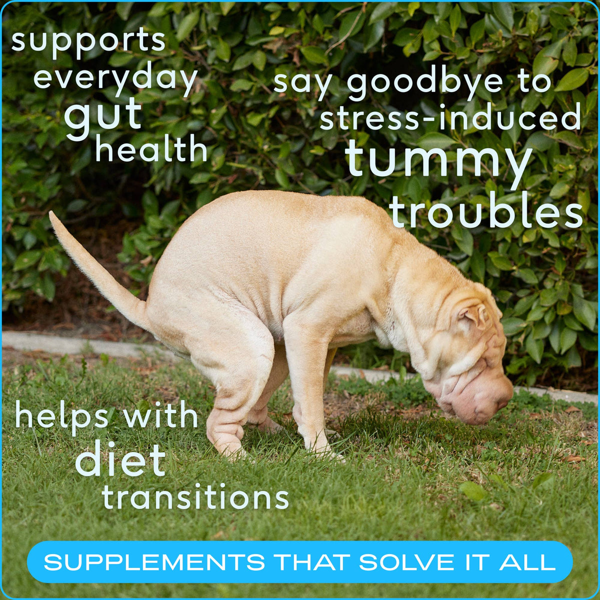 Native Pet - Probiotic & Prebiotic Powder Vet-Formulated Supplement