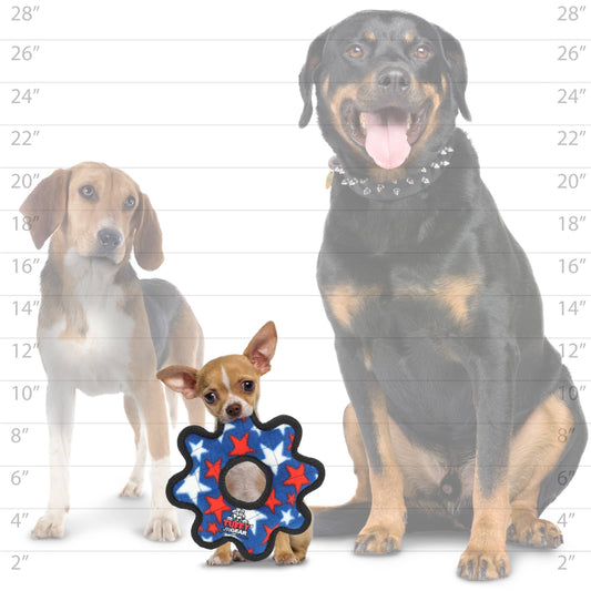 Tuffy Jr Gear Ring -Stars, Durable Dog Toy