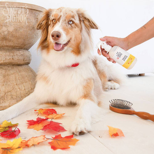 Skout's Honor Probiotic Daily Use Detangler Honeysuckle