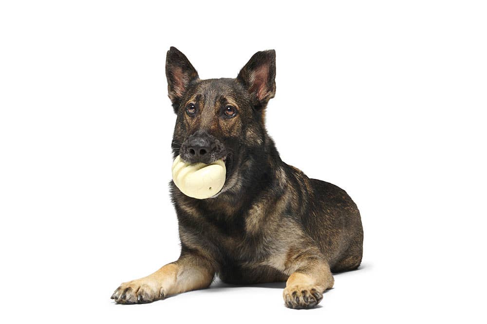 BARK Tinkles The Gerbil - Performance Dog Supply