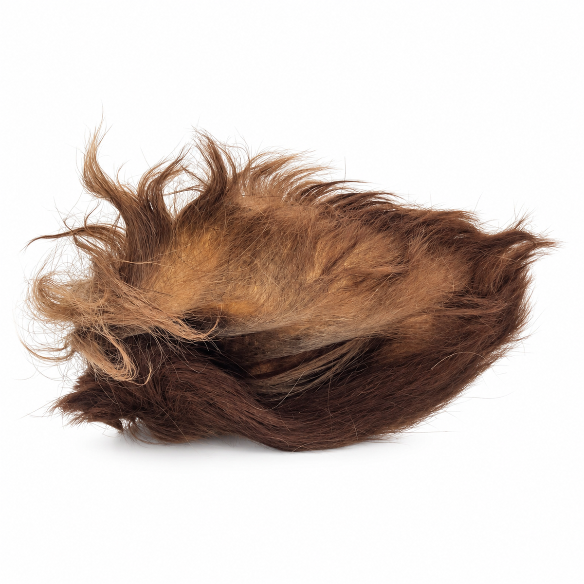 Bulk - Beef Ears with Hair – 10 Pack