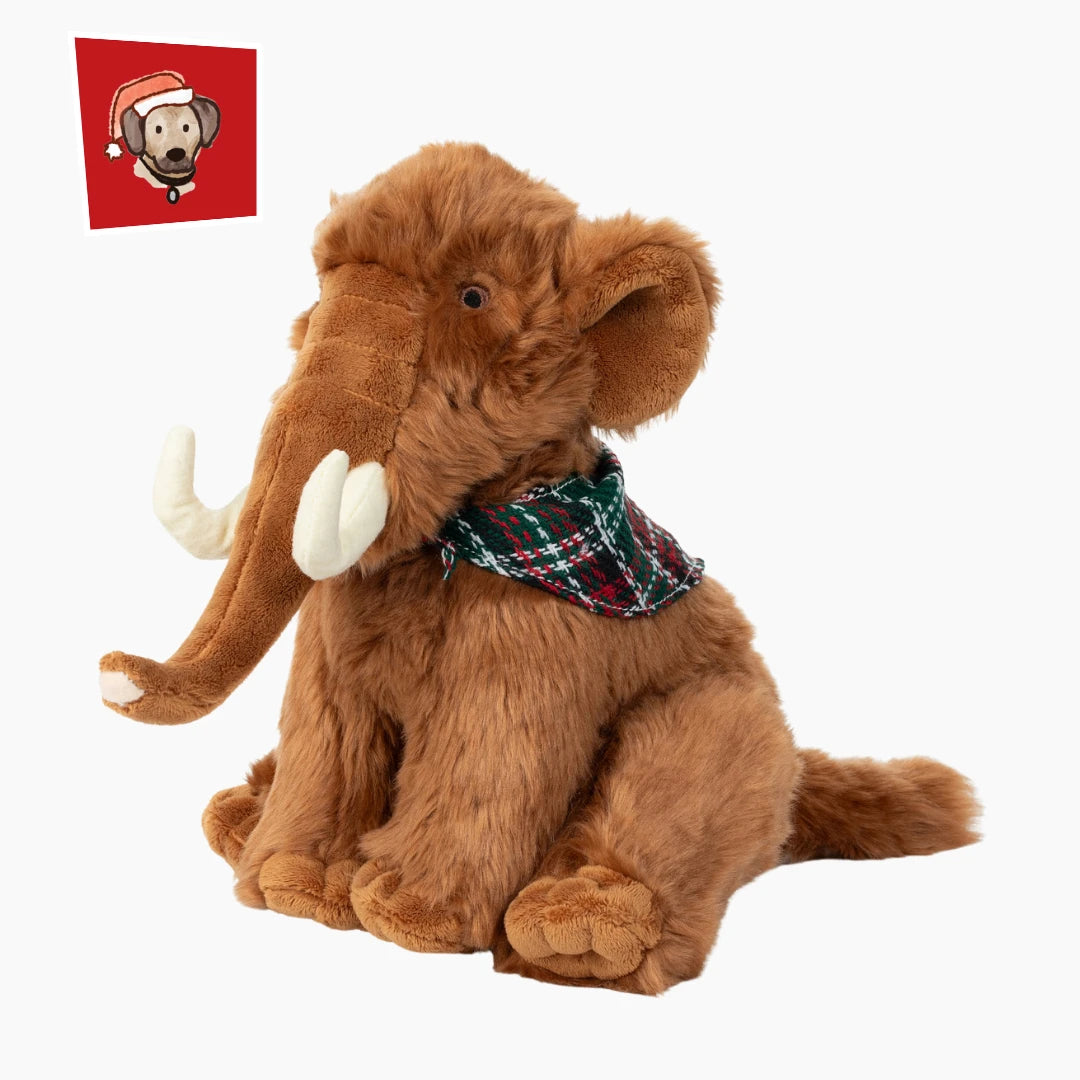 Fluff & Tuff *Woolly the Mammoth