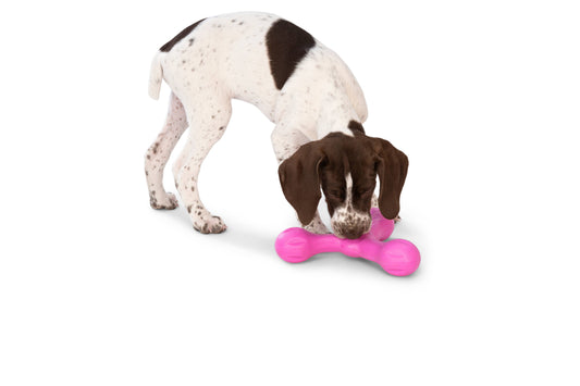 Skamp® Dog Toy for Play, Tug, and Fetch - Performance Dog Supply