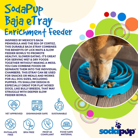 Baja Design eTray Shallow Slow Feeder Bowl for Dogs - Performance Dog Supply
