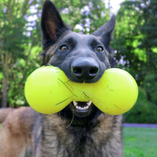 BIG DAWG XL Lifetime Guaranteed