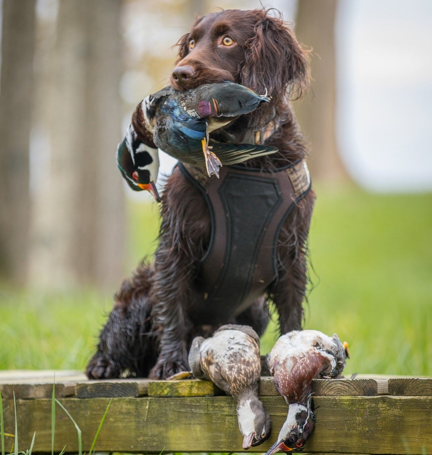 2.0 Sure Fit Waterfowl Dog Vest