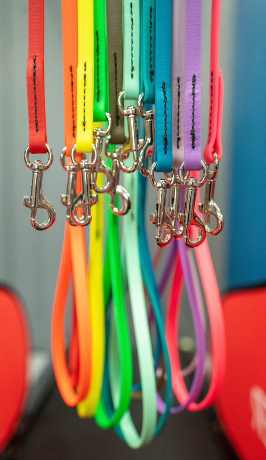 Ultra Light 4ft Clip Leash - Performance Dog Supply