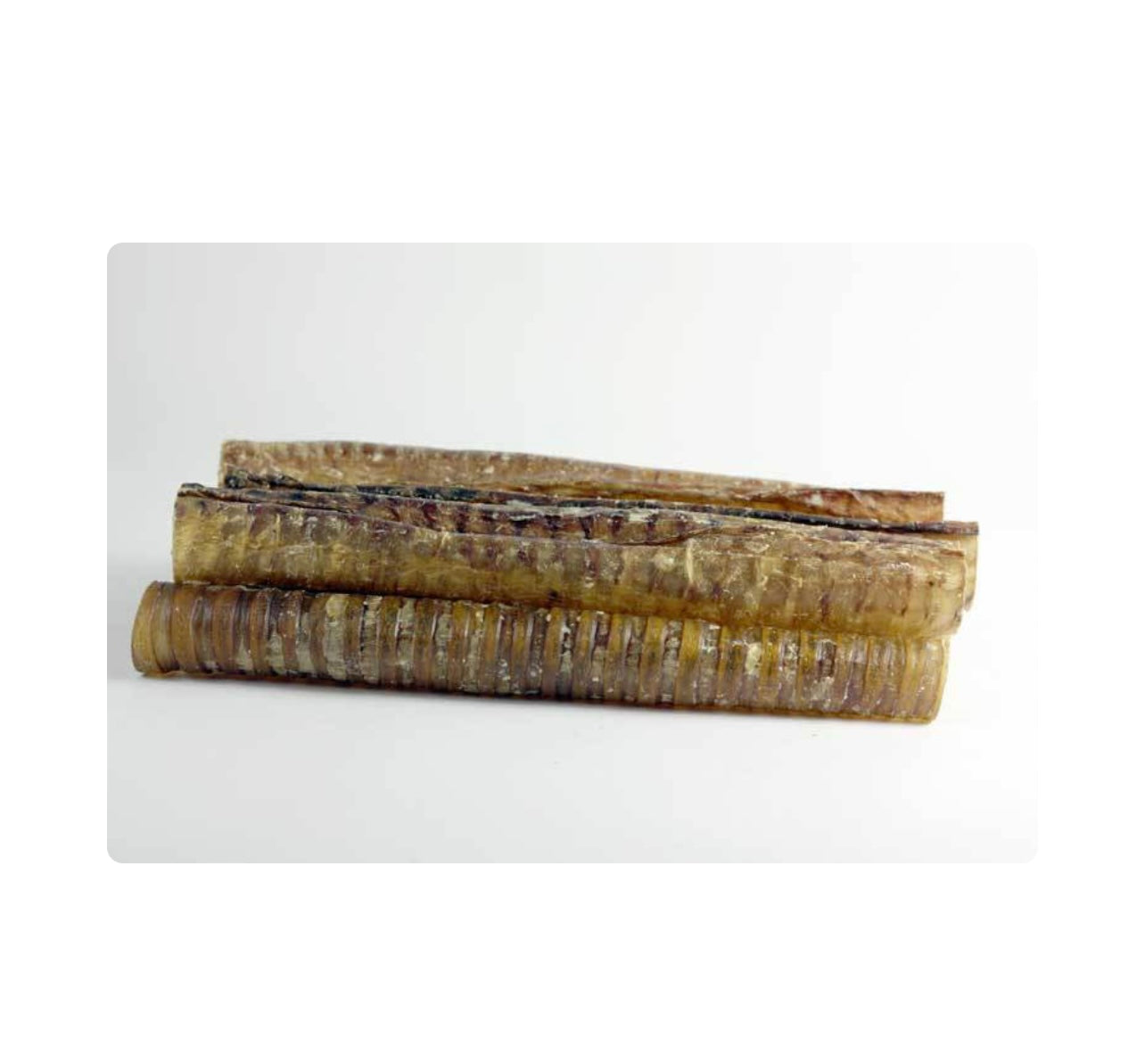 12” Beef Trachea - Performance Dog Supply