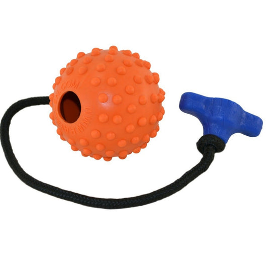 Ray Allen Reward Ball on Rope