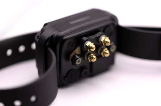 Short Point Comfort Pad - Performance Dog Supply