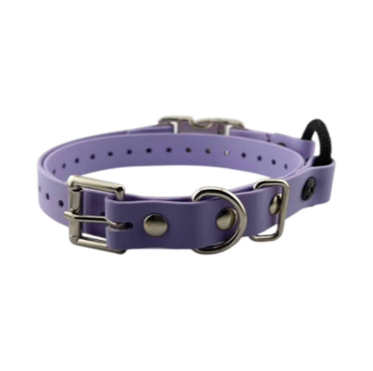 3/4” Ecollar Quick Buckle Bungee Strap