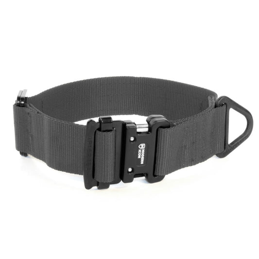 Modern Icon 1.75” Soft Collar - Performance Dog Supply