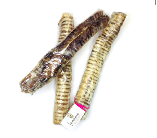12” Beef Trachea - Performance Dog Supply