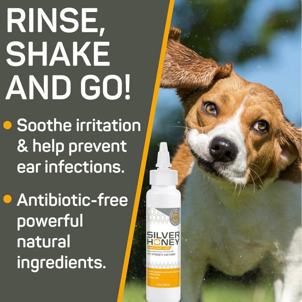 Silver Honey Rapid Ear Care Rinse - Performance Dog Supply