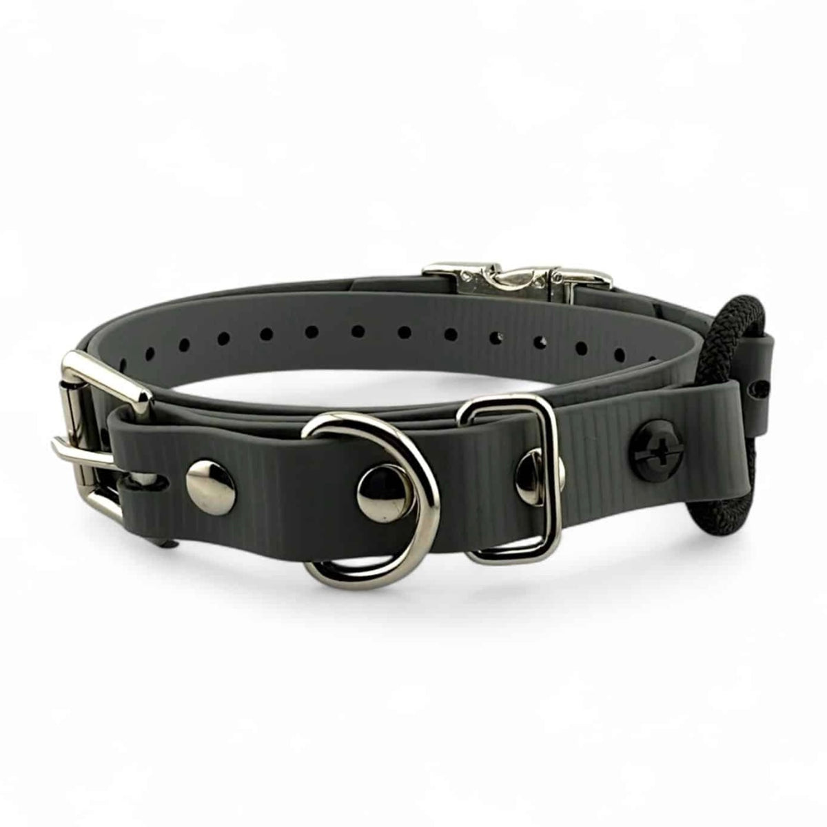 3/4” Ecollar Quick Buckle Bungee Strap