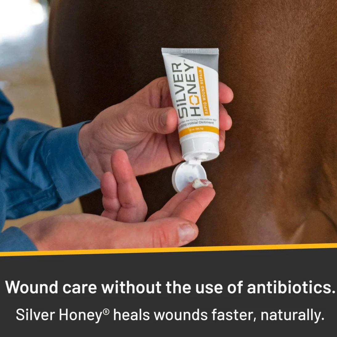 Silver Honey Rapid Hot Spot & Wound Repair Ointment - Performance Dog Supply