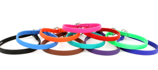 Biothane Slip Collar - Performance Dog Supply