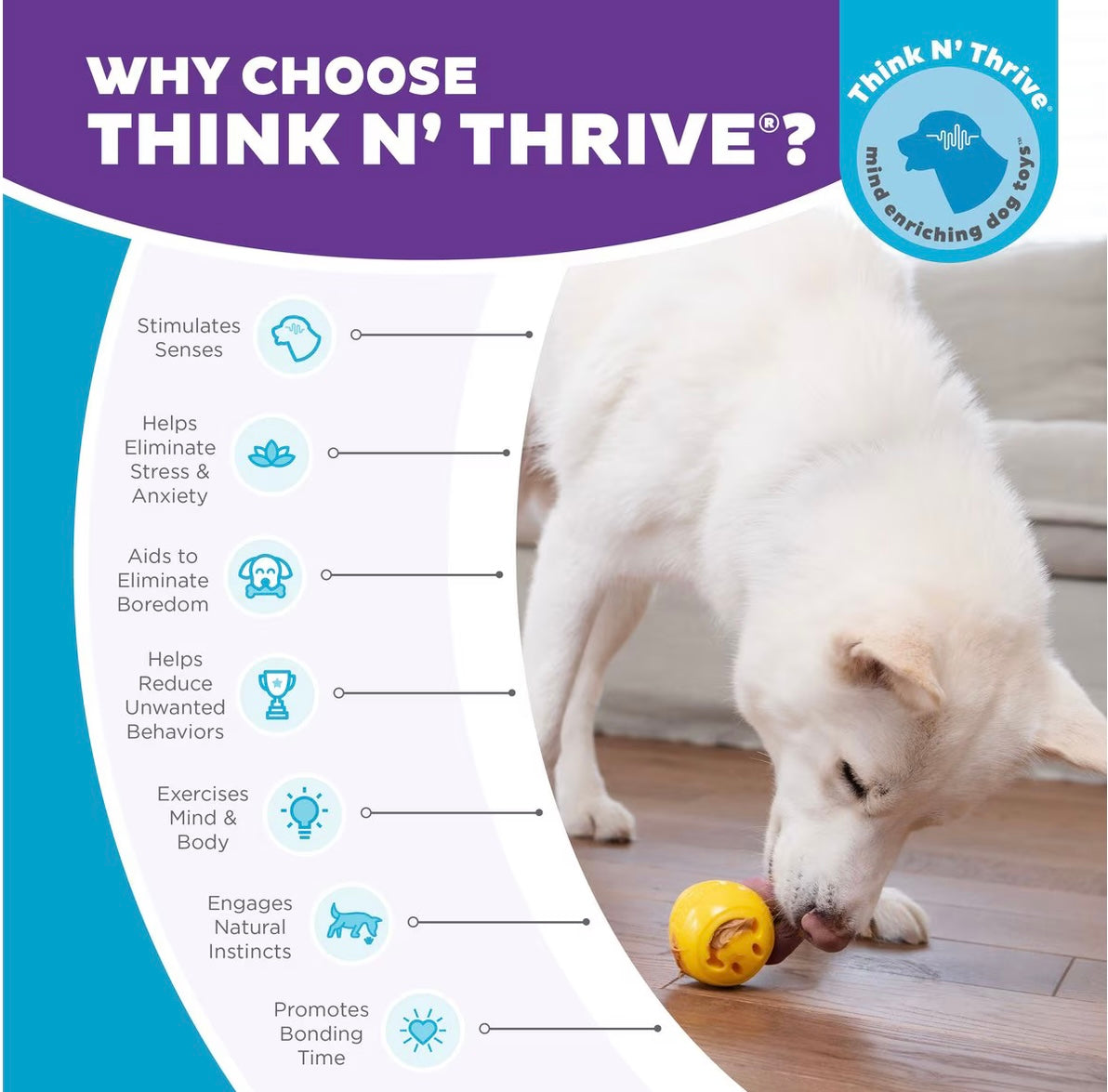 The Nook - For Snoop - Performance Dog Supply