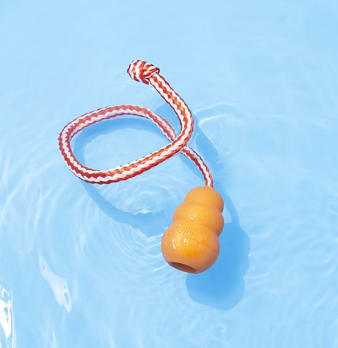 Kong Aqua - Performance Dog Supply