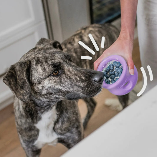 Toppl® Puzzle Treat-Dispensing Slow Feeder Dog Toy - Performance Dog Supply