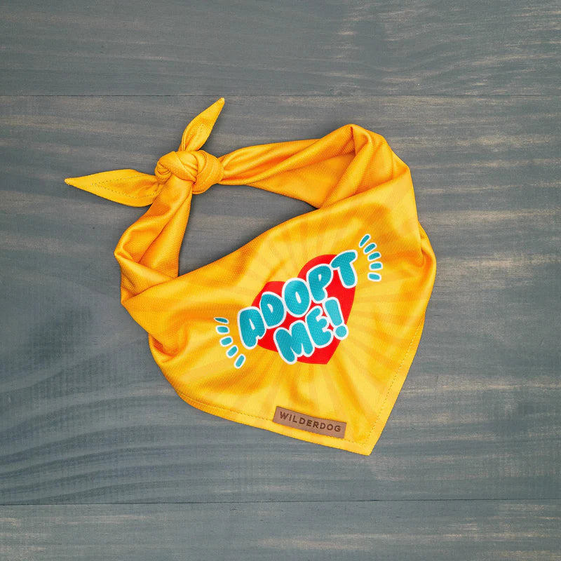 Adopt Me Bandana - Performance Dog Supply