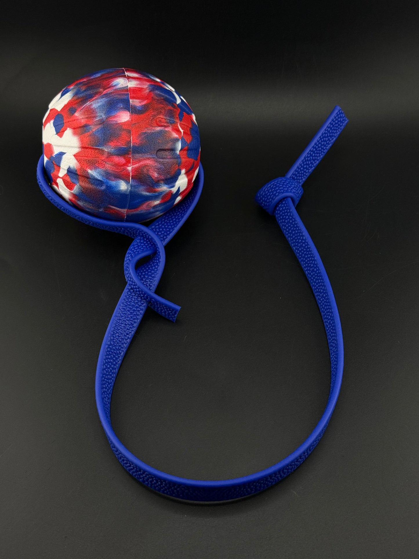 Foam Reward Ball w/ Handle