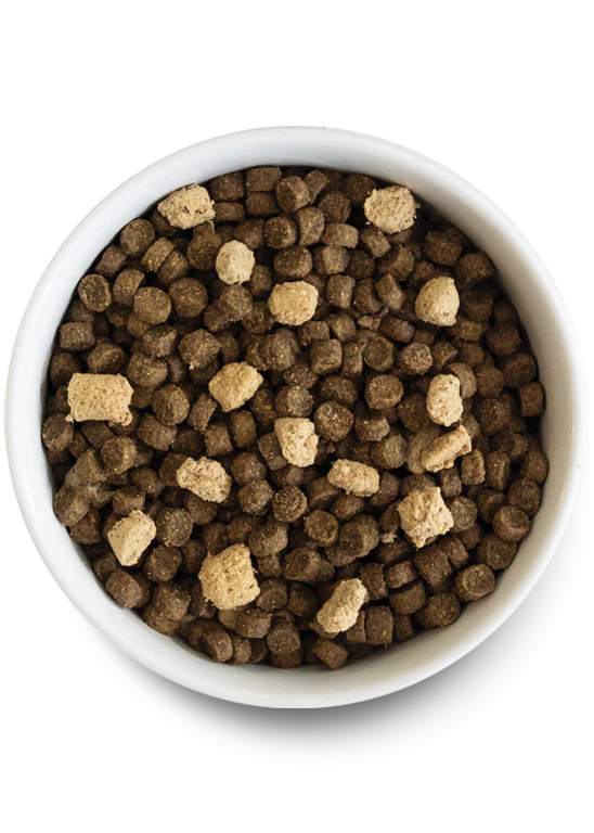 Tide & Terrain Ancient Grains Rawmix for Dogs - Performance Dog Supply