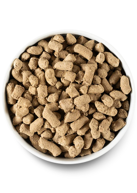 RawMix Tide & Terrain Freeze Dried Raw Recipe Topper - Performance Dog Supply