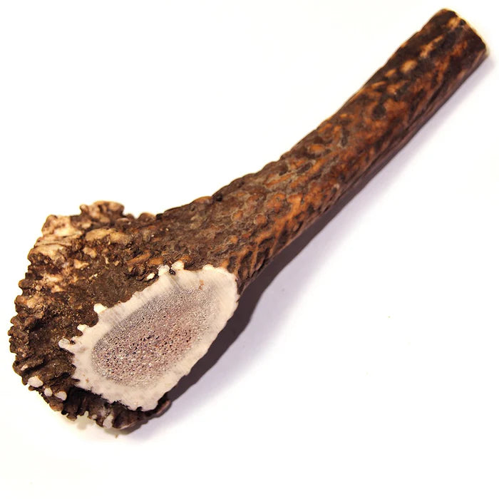 Royal Brown Deer Antler - Large Whole