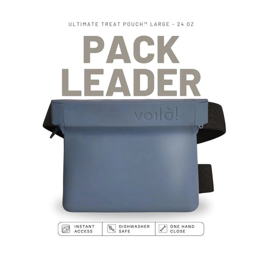 Large Ultimate Treat Pouch - 24oz