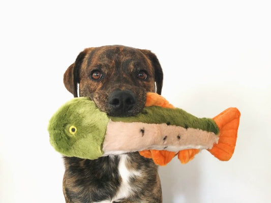 Fluff & Tuff - Ruby Rainbow Trout - Performance Dog Supply
