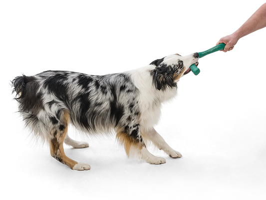 The Snorkl - Performance Dog Supply