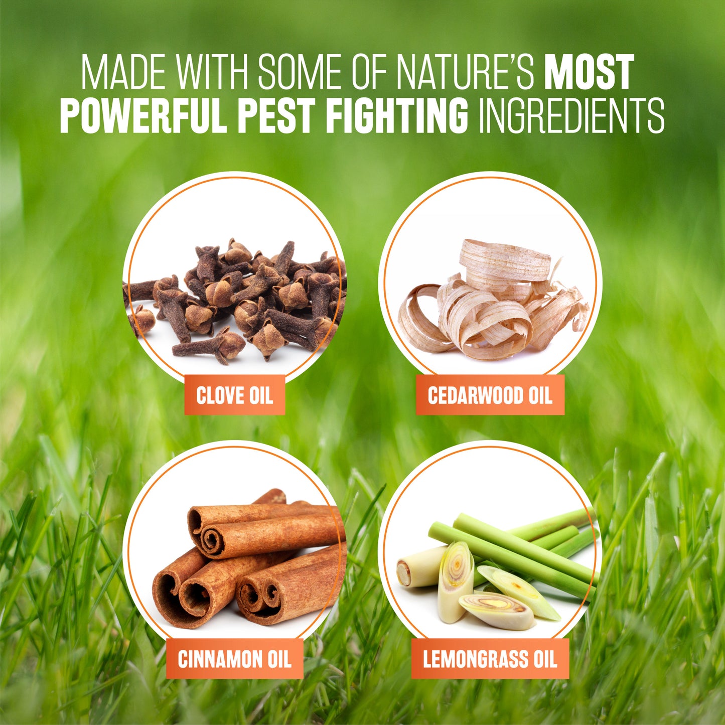 Tropiclean Maximum Strength Flea and Tick Shampoo - Performance Dog Supply