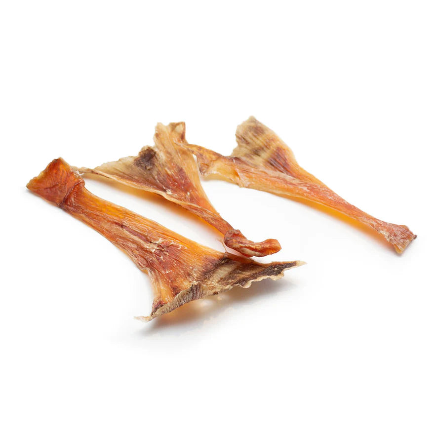 Ostrich Tendon - 1pc
