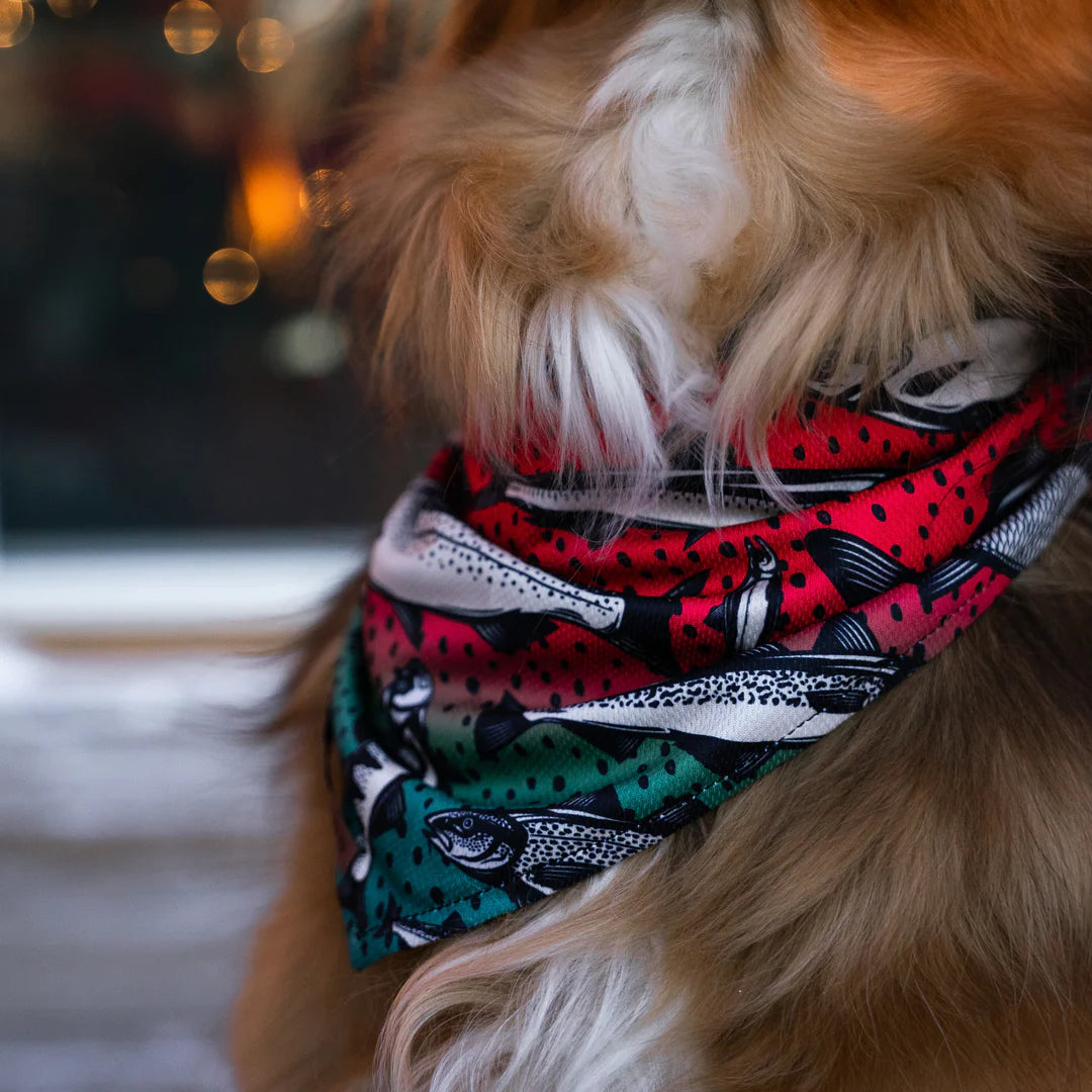 Gone Fishing Bandana - Performance Dog Supply