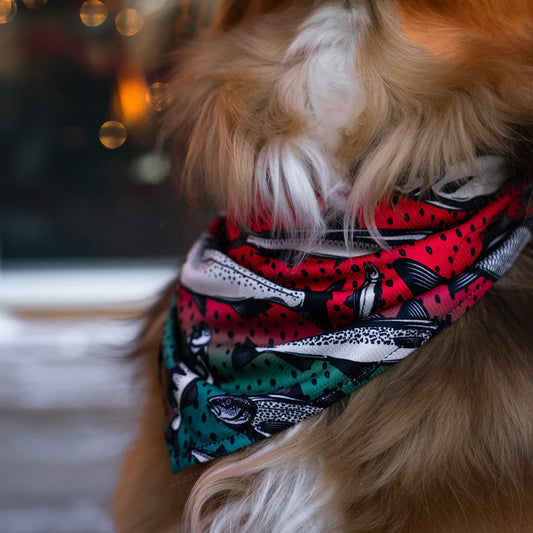 Gone Fishing Bandana - Performance Dog Supply