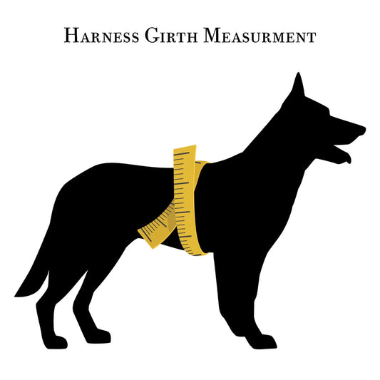 Nylon Harness Y-Strap - Performance Dog Supply